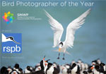Bird Photographer of the Year in aid of RSPB